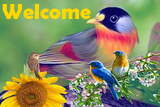 :welcome